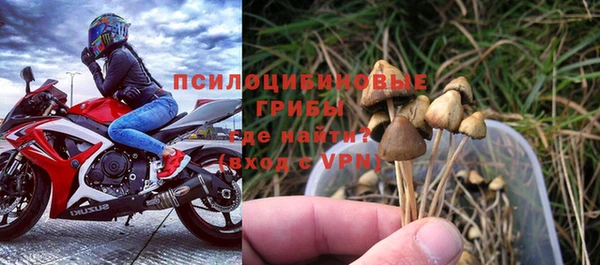 мяу мяу мука Зеленокумск